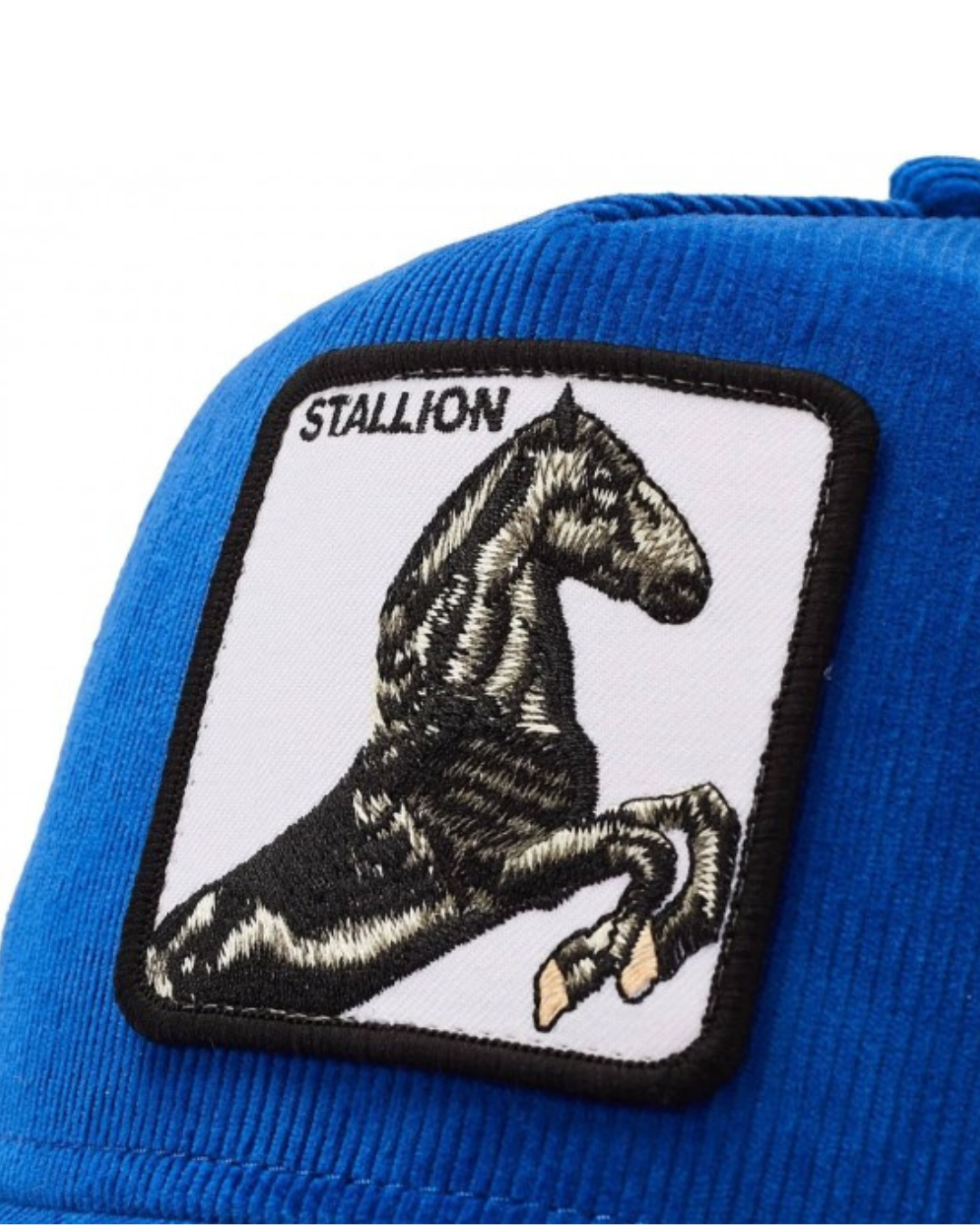 Goorin Bros - Stallion - Blue
