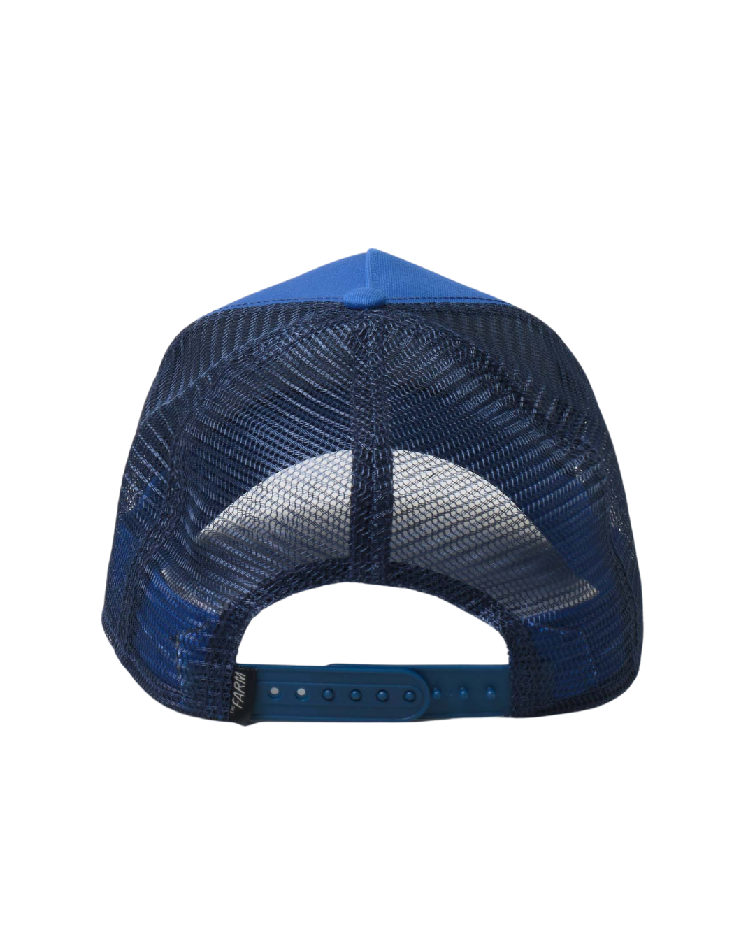 Goorin Bros - Tiger - Royal