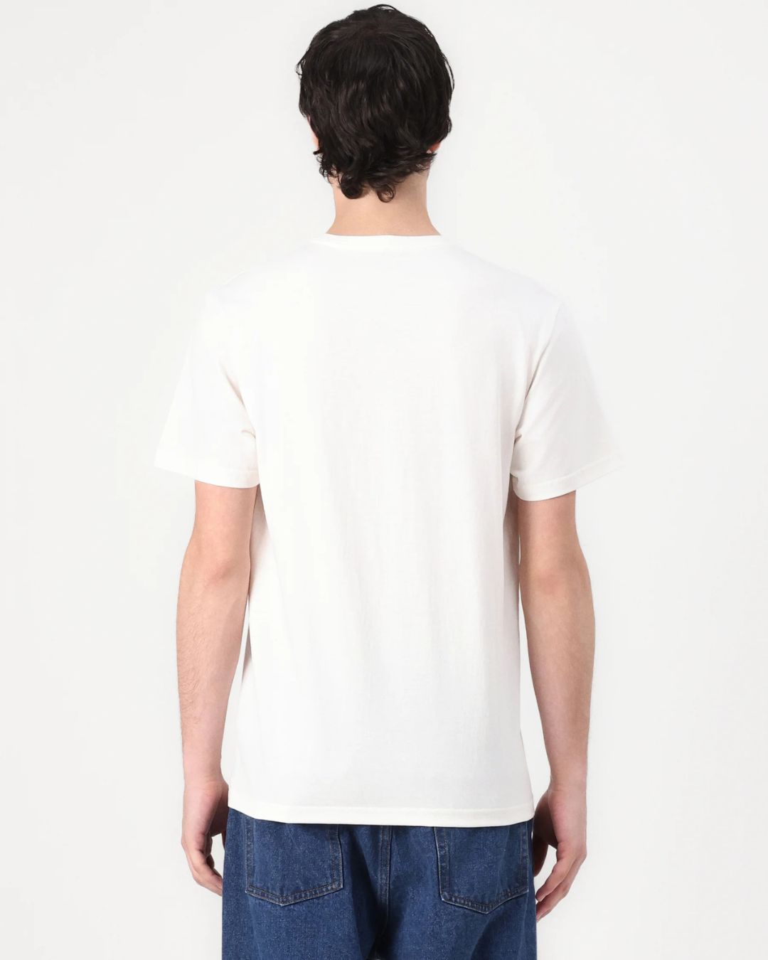 Stance - Standard Issue Tee - Beige