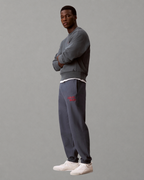 Calvin Klein Jeans - Premium Terry Graphic Jogger - Dark Slate